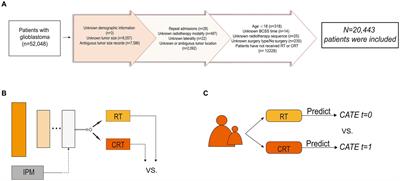 Optimizing adjuvant treatment options for patients with glioblastoma